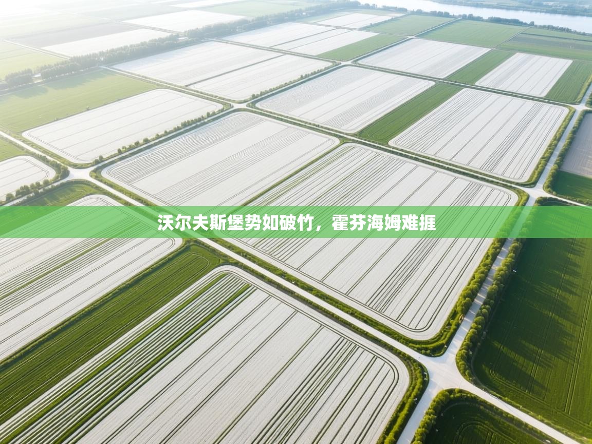 沃尔夫斯堡势如破竹,霍芬海姆难捱 第2张